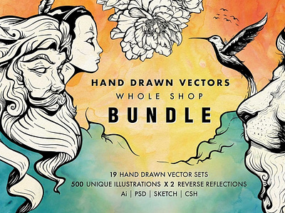 Hand Drawn Vectors Bundle