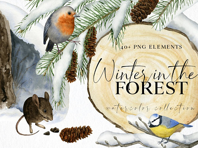 Watercolor Winter Forest Clipart 3d animation app branding bundle clipart collection design forest graphic design illustration logo motion graphics ui watercolor winter