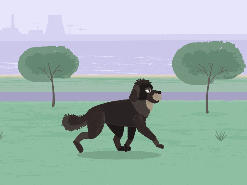 A dog runs along the embankment adobe after effects adobe illustrator animal running animation character animation dog embankment motion design nuclear power plant pond trees vector yacht
