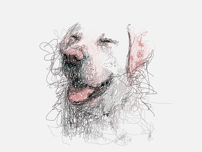 White Dog Sketch