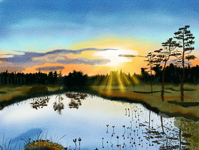 Forest lake evening forest hand drawn illustration lake landscape nature north pine sky summer sunset tree twilight water watercolor watercolour wild wilderness woodland