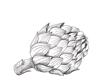 Artichoke sketch. Hand-drawn black artichoke, isolated on white artichoke food hand drawn healthy ink sketch vegan vegetables