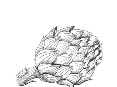 Artichoke sketch. Hand-drawn black artichoke, isolated on white