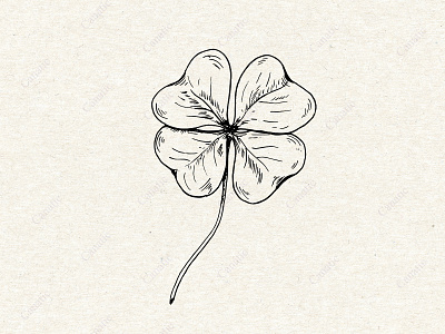 Four leafed clover. Line art sketch black and white fortune hand drawn quatrefoil symbol