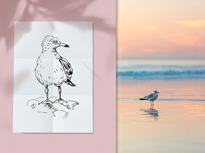 Gull. Hand-drawn sketch bird black and white gull hand drawn illustration ink line art nature sketch