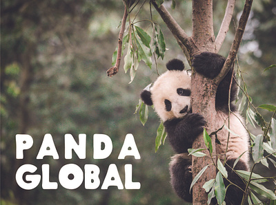 PANDA GLOBAL - panda logo brand branding dailylogochallenge design graphic design icon illustration logo