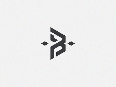 B + W logo