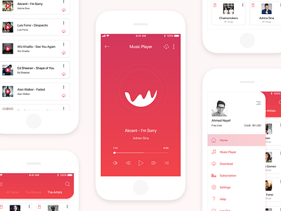 Flames Music App : iOS UI Kit