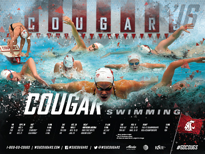 '16-17 Cougars Swimming Schedule Poster college poster schedule sports swimming