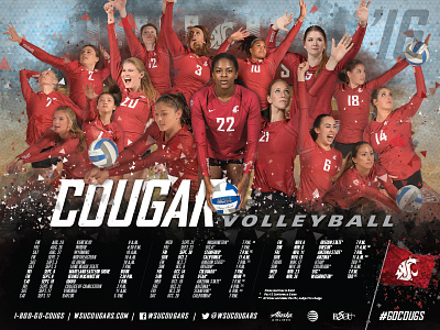 '16-17 Cougars Volleyball Schedule Poster college poster schedule sports volleyball