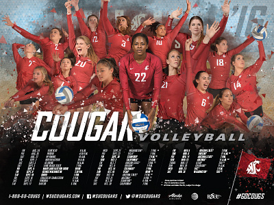 '16-17 Cougars Volleyball Schedule Poster