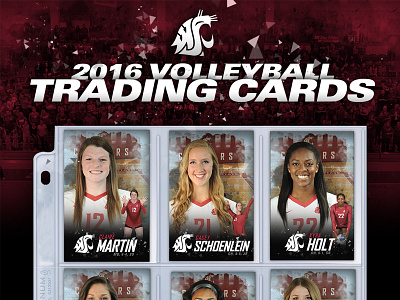 '16 Washington State Volleyball Trading Cards ncaa pac12 sports trading cards volleyball