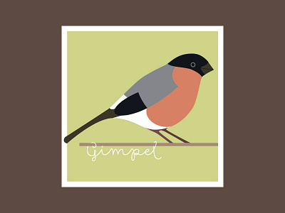 Bullfinch illustration