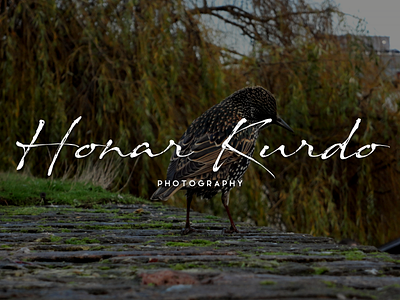Honar Kurdo honar kurdo photographer