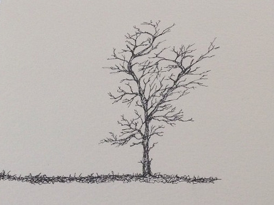 Tree illustration sketch tree