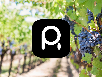 Poepholsrus Boutique Winery brand brand design brand identity branding design identity logo logo design visual identity