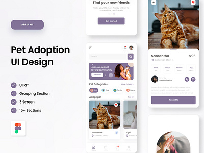 Pet Adoption Design