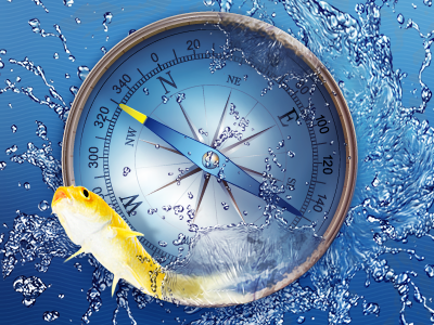 Compass postprocessing blue compass navigation postprocessing retouche splash water yellow