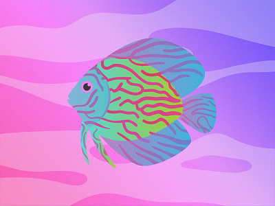 Gillustrations - Discus discus fish fins gills gillustration gillustrations gradient illustration ocean profile sea