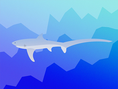 Gillustrations - Thresher Shark fins fish thresher shark gills gillustration gillustrations gradient illustration ocean profile sea