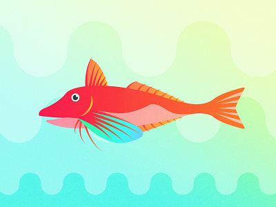 Gillustrations - Red Gurnard fins fish red gurnard gills gillustration gillustrations gradient illustration ocean profile sea