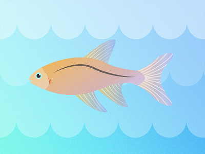 Gillustrations - Rasbora fins fish gills gillustration gillustrations gradient illustration ocean profile rasbora sea