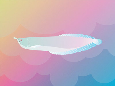 Gillustrations - Arowana arowana fins fish gills gillustration gillustrations gradient illustration ocean profile sea