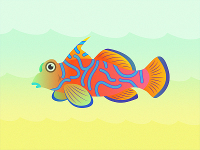 Gillustrations - Mandarin Fish bright colorful fins fish gills gillustration gillustrations gradient illustration mandarinfish profile