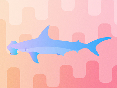 Gillustrations - Hammerhead Shark bright colorful fins fish gills gillustration gillustrations gradient hammerhead illustration shark