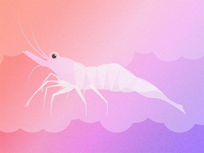 Ghost Shrimp bright colorful ghost gills gillustration gillustrations gradient illustration shrimp