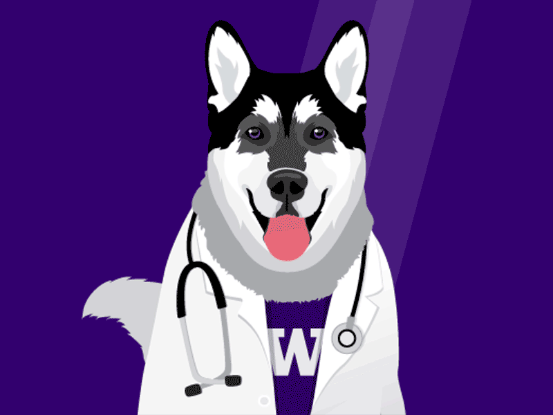 Dr. Dubs aftereffects animation doctor dogs editorial happy healthcare medicine pets