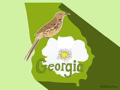 Georgia State bird illustration bird crush editorial flower georgia illustration state usa