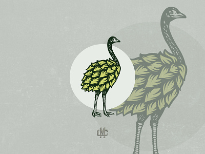 Hops Ostrich animal design graphic design illustration logo vector