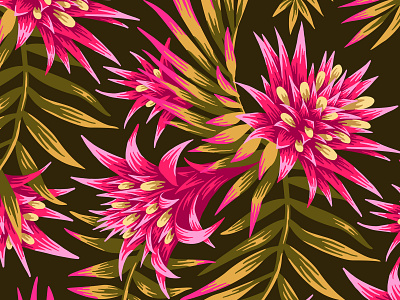 Fasciata Tropical Floral aechmea fasciata andrea alice andrea muller bromiliad fabric floral flower illustration leaf leaves nature new zealand palm pattern plant summer surface design textile tropical vector