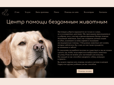 Design a crowdfunding campaign 032 crowdfunding campaign dailyui design help center homeless animal help center pet volunteer