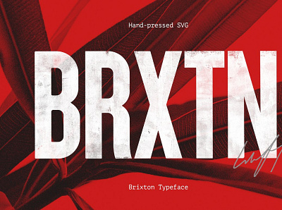 Brixton SVG - Handprinted Typefamily 3d animation app branding design graphic design icon illustration logo ui