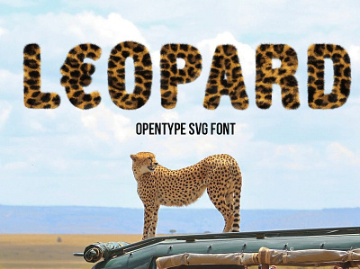 Leopard Font 3d animation app branding design graphic design icon illustration logo motion graphics ui