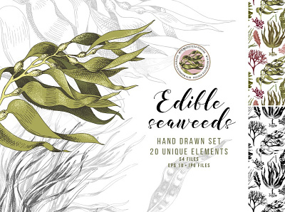 Hand drawn edible seaweeds 3d animation app branding design graphic design icon illustration logo motion graphics ui