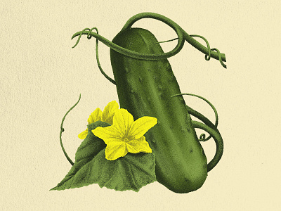 Pickle Heritage pickle