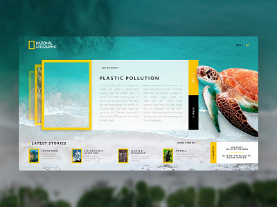 NATIONAL GEOGRAPHIC WEBSITE REDESIGN designer graphicdesign natgeo nature sea turtles webdesign