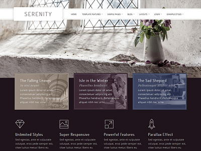 J51 Serenity - Joomla Template cms design earth gallery joomla menu slideshow style template ui web webdesign