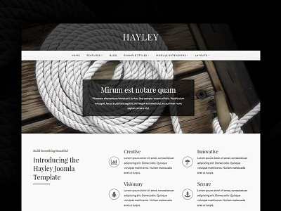 J51 Hayley - Joomla Template