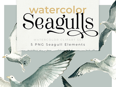 Watercolor Seagulls Clipart Set clipart illustration watercolor