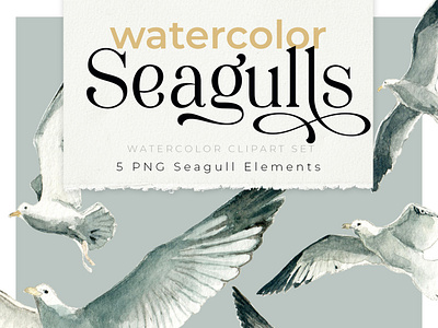 Watercolor Seagulls Clipart Set