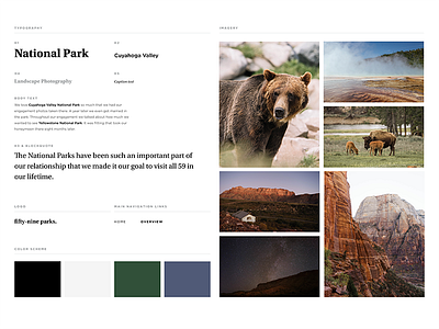 fifty-nine parks Style Guide color scheme interaction design moodboard photography process style guide styles typography uxui web design