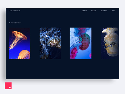 InVision Studio — Under the Sea Gallery animation design design tools invision transition