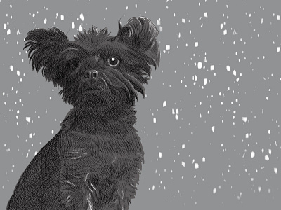 Harry holiday pet portrait procreate