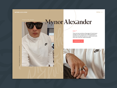 Mynor Alexander - Rebranding Color Scheme