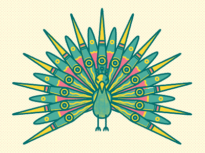 Peacock bird design doodle geometry illustration peacock