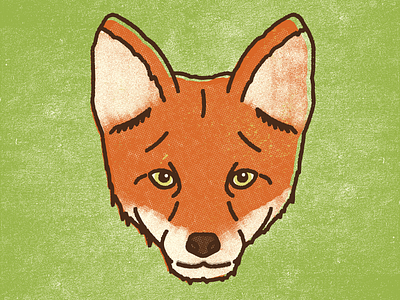 Fox animal design doodle fox illustration lines texture